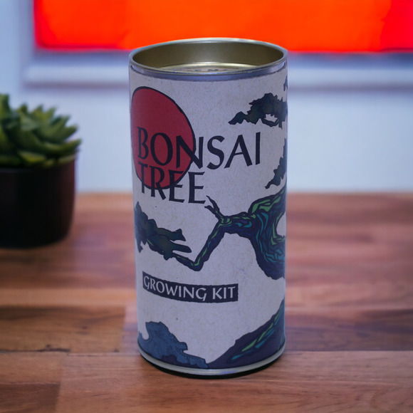 The Jonsteen Company Japanese Maple Acer Palmatum Bonsai Tree Growing Kit - Picture 1 of 9